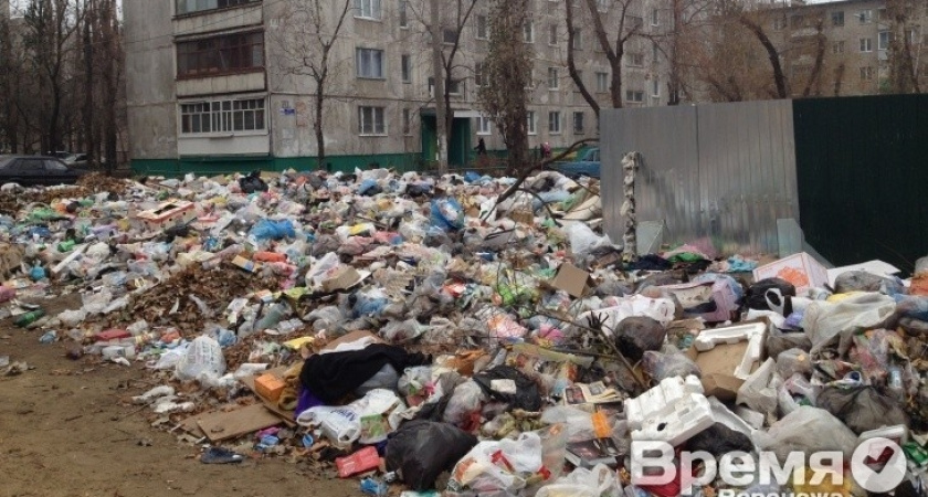 За Михаилом Палютиным будет убирать воронежская мэрия?