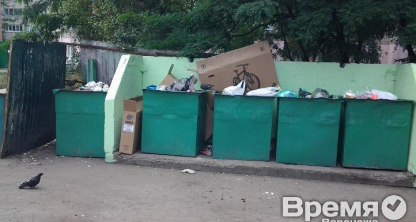 Управляющие компании страдают из-за чужого мусора