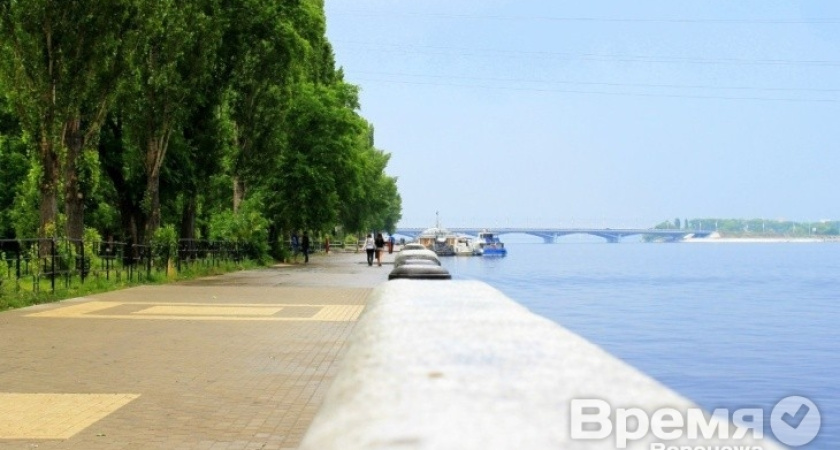 Знаковая набережная Воронежа ждёт предложений