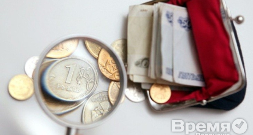 В Воронежской области минимальный размер оплаты труда вырос на 400 рублей