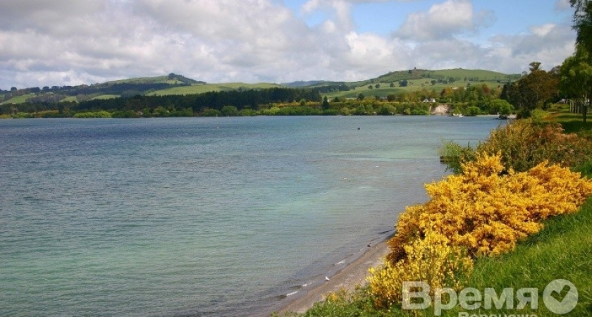 Воронежский департамент разберётся с частниками, перекрывшими доступ к берегу реки