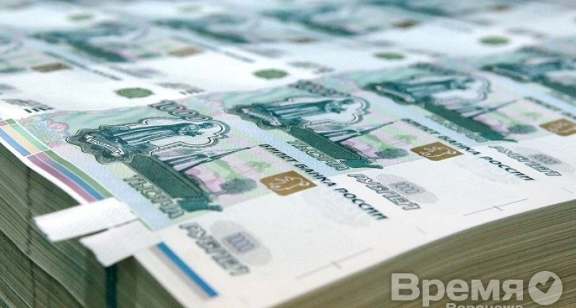 Снять напряжение на рынке труда в Воронеже позволят федеральные деньги