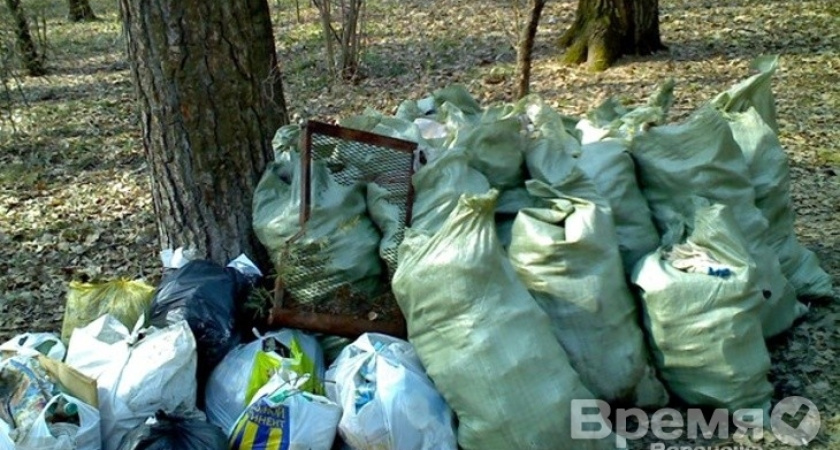В Воронеже объявили месячник благоустройства