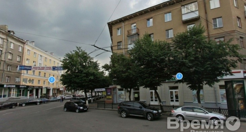 Предвыборная кампания по-воронежски: проблему не решили, но пропиарились