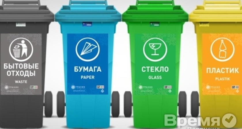 «Гринпис» зачислил власти Воронежа в число своих врагов?