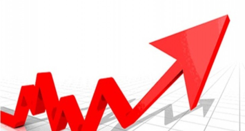 Госдолг Воронежской области за 3 месяца вырос на 900 миллионов рублей