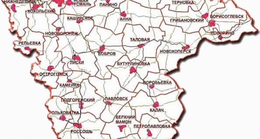 Социально-экономическое положение Воронежской области оказалось хуже среднероссийского