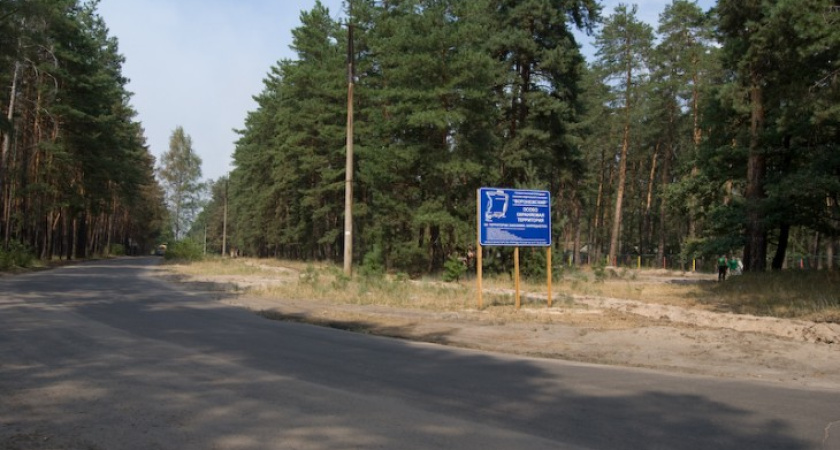 Власти Воронежа продают подпаленную пожарами турбазу «Росинка»