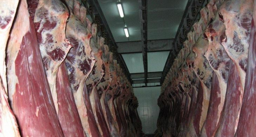 Белгородский инвестор довел до банкротства один из лучших воронежских мясокомбинатов