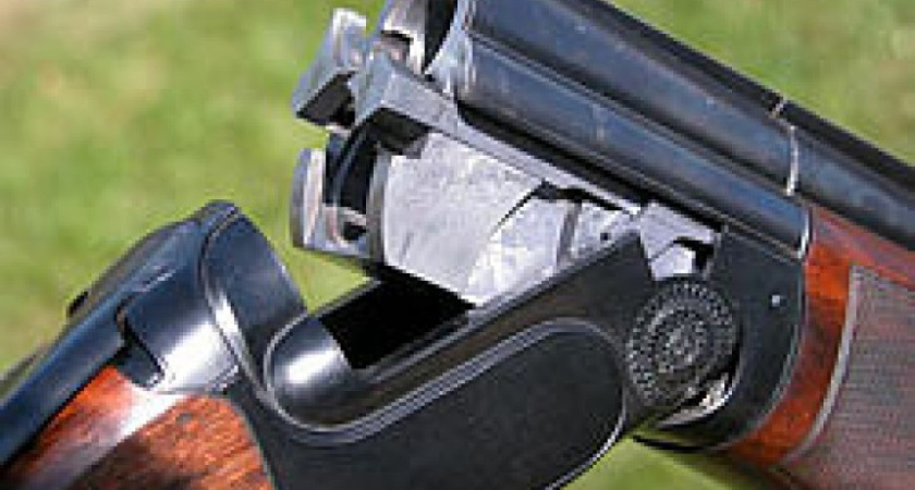 На домашнем этапе кубка России воронежский спортсмен настрелял на бронзу