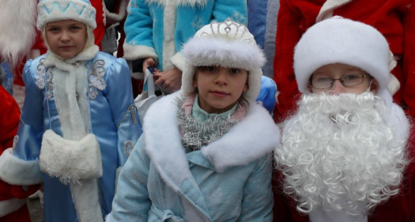 Новогодние елки готовят все воронежские театры и зоопарк