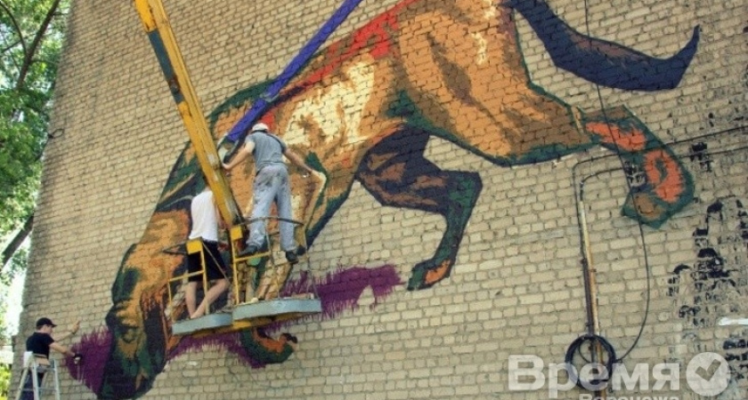 В Воронеже установят домики для книг, распишут фасады домов и превратят наш город в фестивальный центр