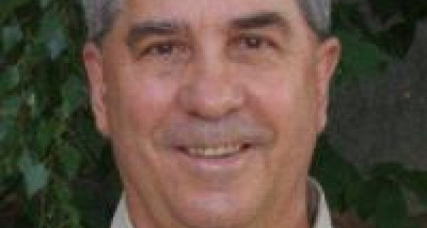 Куда пойдет страна?