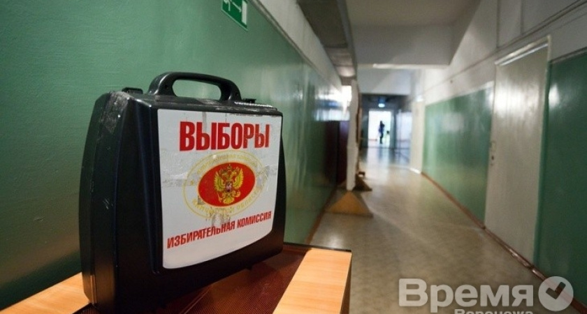 По стойке смирно! - или Воронежский майдан