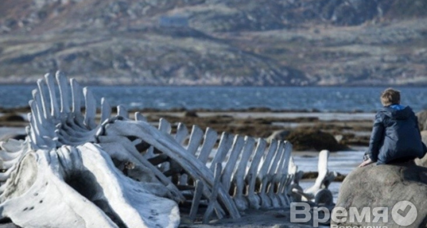 Левиафан – это Пуси Лядовой