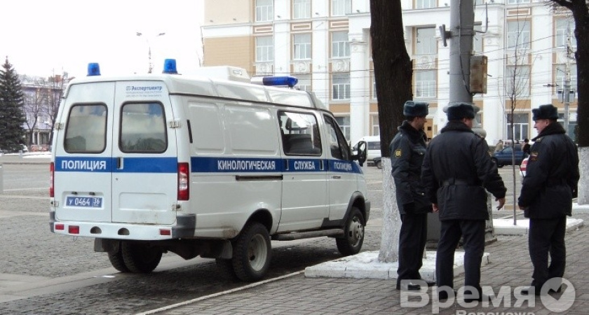 Полиция: В Воронежской области в прошлом году поймали всех телефонных «террористов»