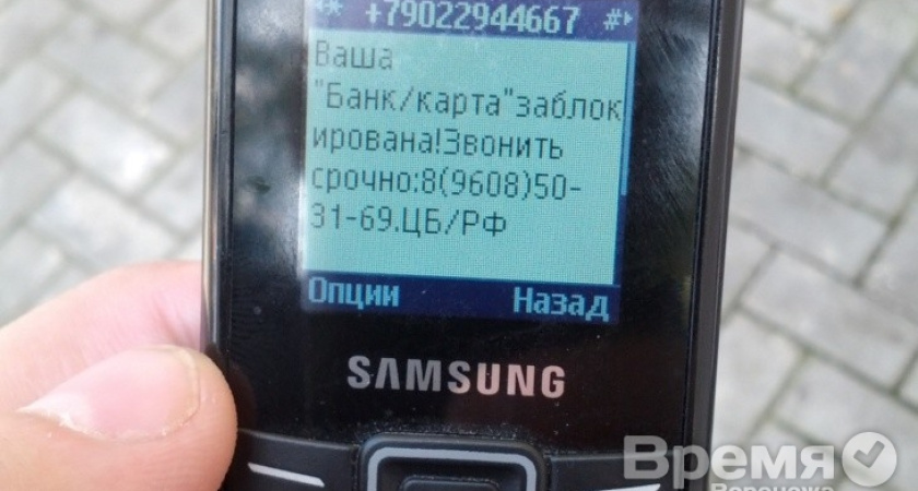 Воронежские абоненты «Билайна» могут отписаться от спама по SMS