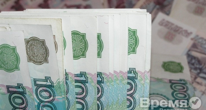 Бюджет Воронежа: «Уже сейчас каждый житель города должен по нескольку тысяч рублей»