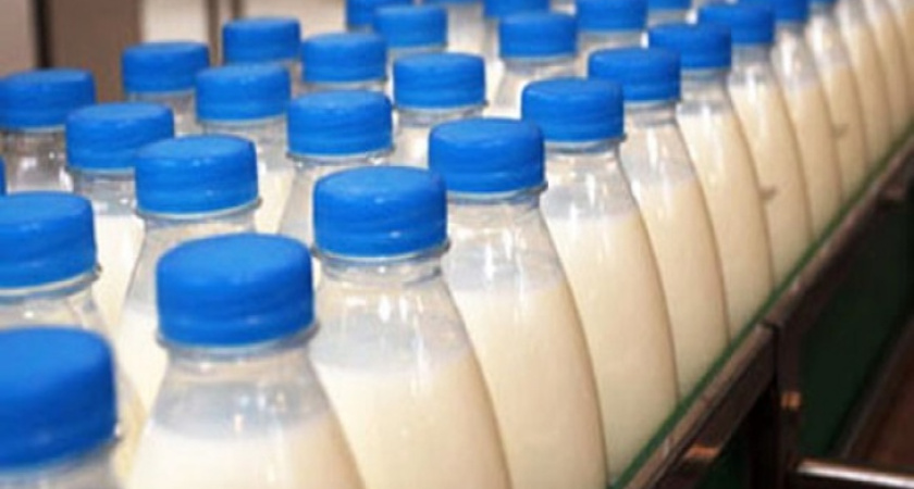 «Единой России» - грош цена?