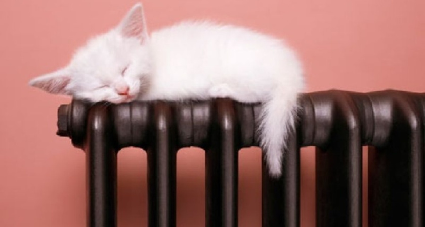 Воронежцам в этом году не будут отключать воду 