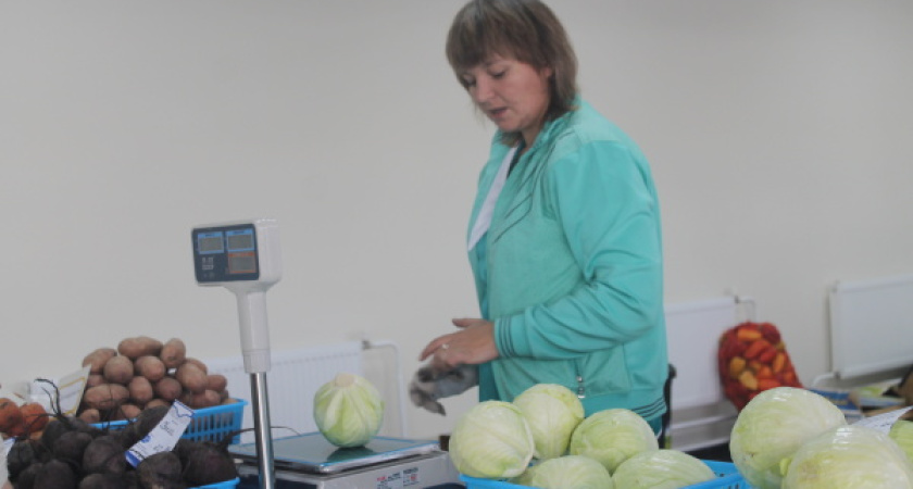 Огурцы по пять рублей. Но сегодня