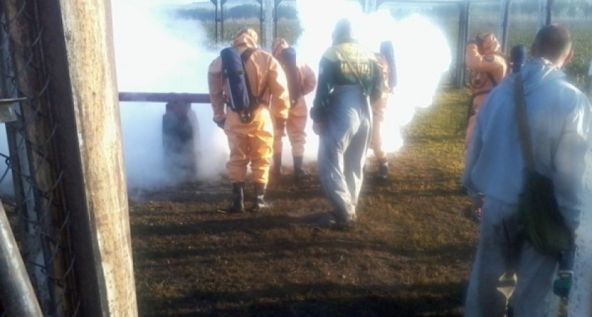 Мощности "Трансаммиака" в регионе пройдут тщательную проверку