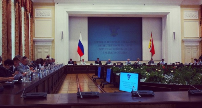 У Общественной палаты Воронежской области – женское лицо