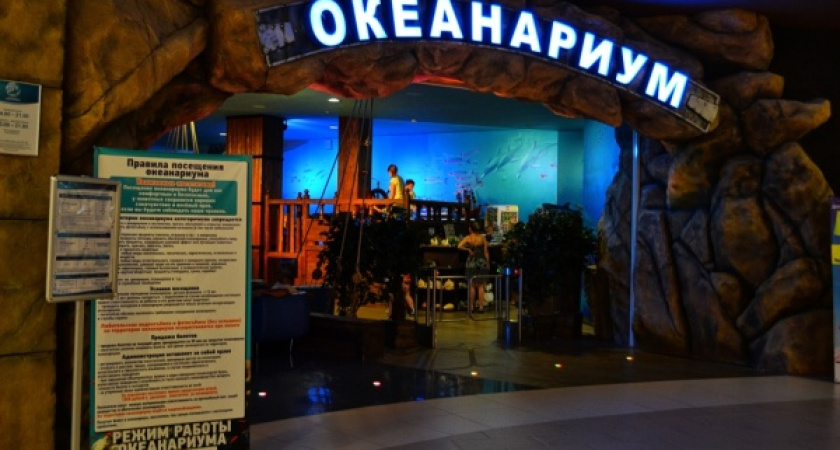 Воронежский океанариум  стал одним из лучших в Европе 
