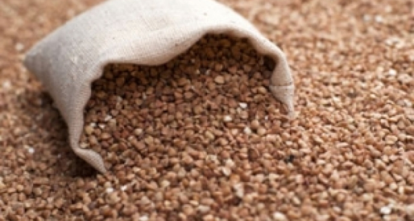 «Индекс гречки» в Воронежской области  растет быстрее самой гречки 