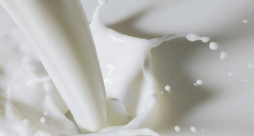 Алексей Гордеев обратил внимание Медведева на «турбулентность» цены молока 