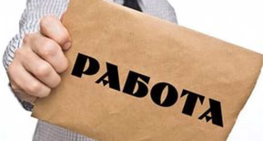 Воронежская служба занятости населения стала работать быстрее 