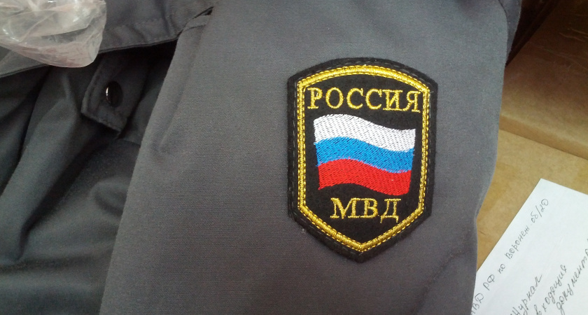 В день выборов на дежурство выйдут более пяти тысяч воронежских полицейских