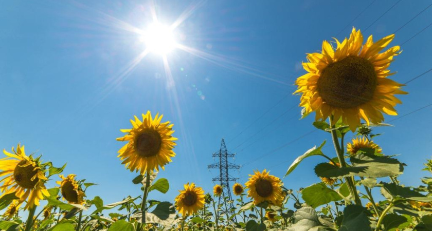 «Воронежэнерго» поддерживает значимые для региона  предприятия 