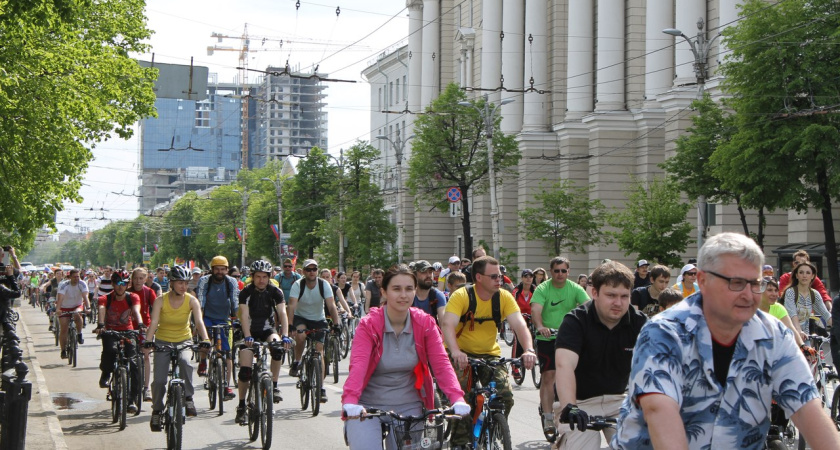 Воронежские велопробеги могут прировнять к митингам