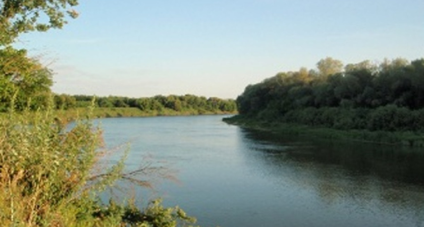 Воронежский список охраняемых территорий дополнится 43 зелёными зонами 