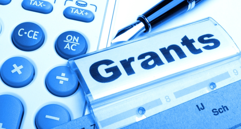 Дети государственного гранта