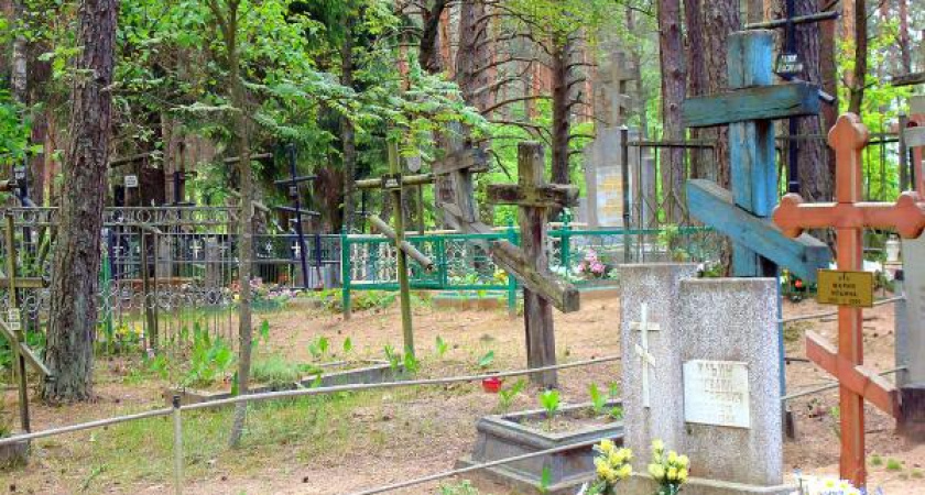 «Городская похоронная служба» приведёт в порядок воронежские кладбища