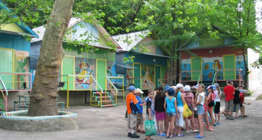 Воронежские школьники отдохнули в детских лагерях «удовлетворительно» 