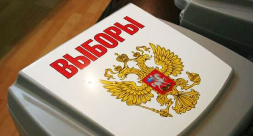 Явка по Воронежу составила 23 процента