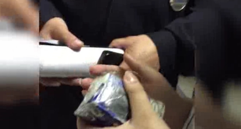 «Из территориальных избирательных комиссий выгнали всех»