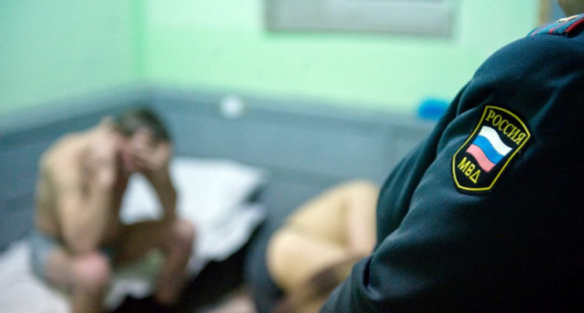 Нужны ли Воронежу медвытрезвители? 