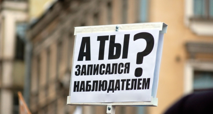 Количество наблюдателей на избирательных участках Воронежа могут ограничить