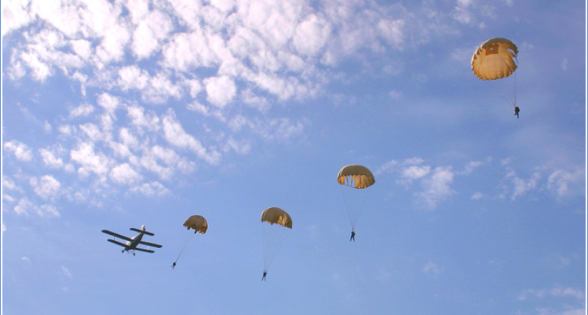 Воронежских чиновников будут увольнять с особой жестокостью – по КЗоТу