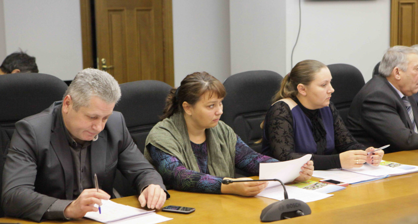 Воронежским активистам  все-таки сумели раздать 20 миллионов бюджетных  рублей 