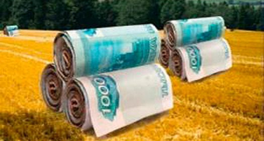 Воронежская область стала второй в России по агрострахованию 