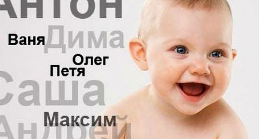 В Воронеже родились Сахар, Аполлон и Ширак 