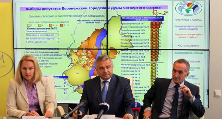 Читатели интернет-газеты «Время Воронежа» не верят в законность последних выборов