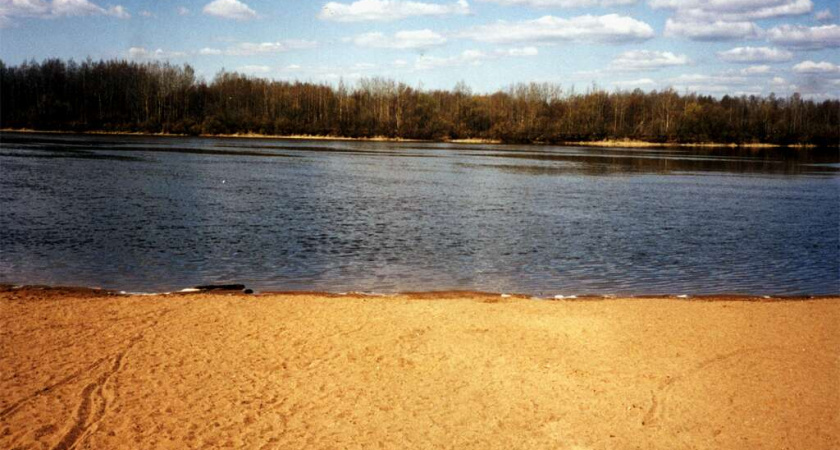 В Воронеже появится пляж для инвалидов