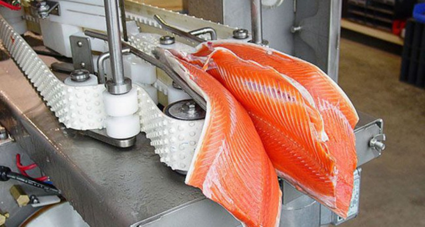 Французы создадут в Воронежской области  импортозамещающие производства 