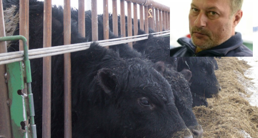 Сергей Гончаров: «Если сегодня не вернуть интерес инвесторов к отрасли, с мечтой о российском скотоводстве можно попрощаться» 